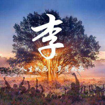 足球超级联盟游戏下载