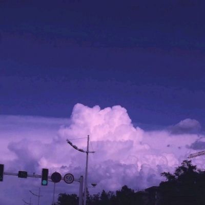 美人秘传官方版下载